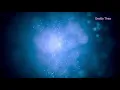 Download Lagu Senyum Harapan - The Golden Wings (Karaoke Minus One)