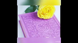 انشودة لحفاظ القرأن خفق الفؤاد دندنها