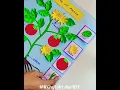 parts Of Plants Science Project Model
