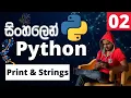 Python - Lesson 02 Print Strings