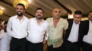                                                دندنها