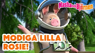 Masha och Björnen 👧🐻 Modiga lilla Rosie! 🐷🤩 Trailer 🎉 Samling av avsnitt