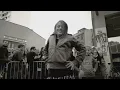 Seeed - Molotov / Wonderful Life (official Video)