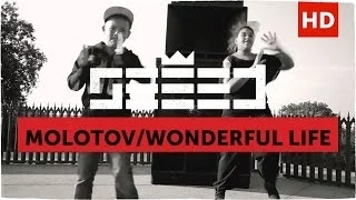 Seeed - Molotov / Wonderful Life (official Video)