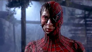 Spider-Man (2002) Film Explained in Hindi/Urdu | Spider-Man Full Story Explained हिंदी