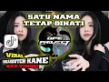 Download Lagu TIKTOK VIRAL || DJ SATU NAMA TETAP DIHATI 🔥 BREAKDUTCH KANE VERSI BASS TINGGI 🔥 OPE PROJECT 