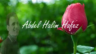 عبد الحليم حافظ   نعم ياحبيبى نعم                                           روائع أغاني الزمن الجميل دندنها