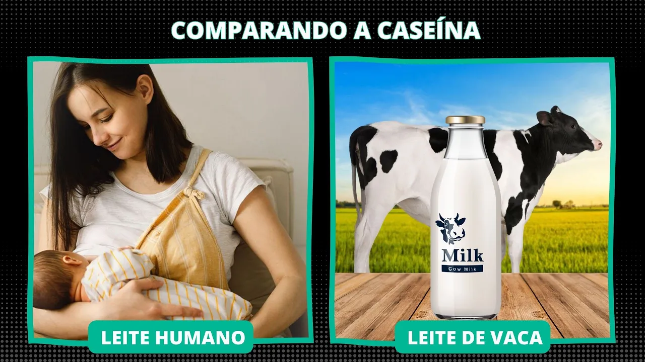 O Leite de Vaca e Seu Segredo: 4 Vezes Mais Caseína Que o Leite Humano │ Teaser 03