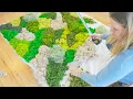 DIY Moss Wall Art That Will Transform Your Space