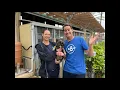 Spooky Pawty Chula Vista Animal Services offers Free Adoptions on October 26