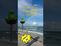 Miami Water Temperature Weekly October 20 2025