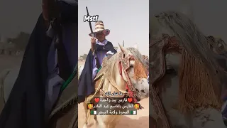 فارس بيد واحدة ركب لبيض سيد الشيخ فنتازيا الجزائر 787 