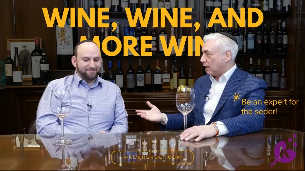 Beyond Seder Wines - Everything You Want To Know About Wines!