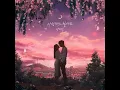 May I love you (사랑해도 될까요) - Yang Da Il