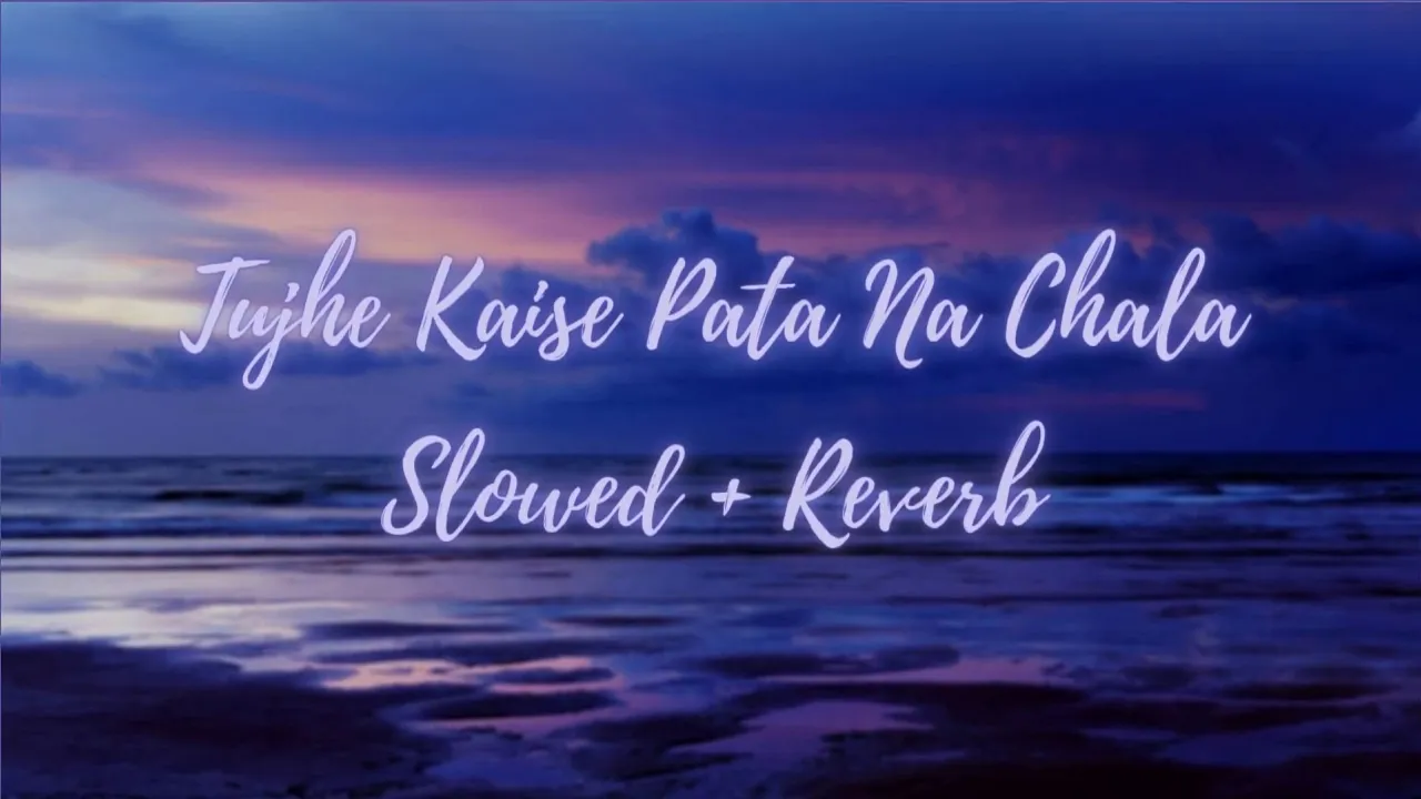 Tujhe Kaise Pata Na Chala - Slowed + Reverb