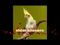 Download Lagu Siulan doraemon burung falk buat masteran agar falk cepat siul