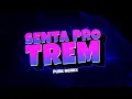 Download Lagu SENTA PRO TREM - Tudo Bem VIRAL (Funk Remix) DJ Igor do Am