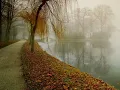 Tomaso Albinoni: Adagio - 1 HOUR [G Minor] [Healthy Music] [Strings and Organ]
