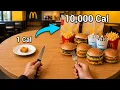 I 10x My Calories at McDonald s Every Day For 5 Days