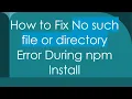 How to Fix No such file or directory Error During npm Install