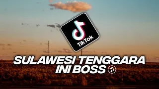 Download Rudhy Pahlevi - SULAWESI TENGGARA INI BOSS - (Official music video) MP3
