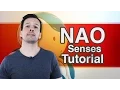 Aldebaran NAO Tutorial 4 Senses