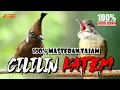 Lagu MASTERAN KAPAS TEMBAK X CILILIN | SPESIAL MASTERAN MEWAH IDAMAN JURI