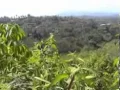 Download Lagu Batanghari Sembilan - Gitar Tunggal - Hindu Bejulat - cipt Zainal - voc Amran Cs - guitar Amran Cs