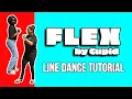 Flex Line Dance Tutorial