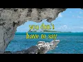 Transvision Vamp - Baby I Don't Care (with Lyrics)