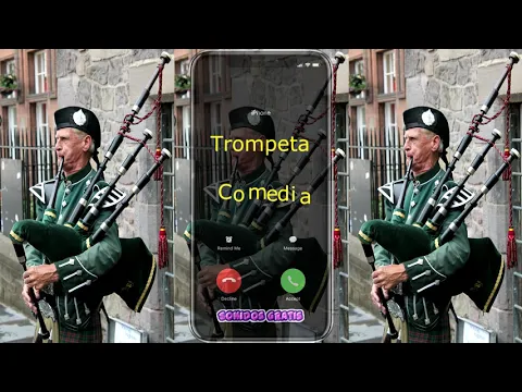 Download MP3 Descargar Sonidos trompeta comedia Mp3 Gratis Para Celular | Sonidosgratis.net