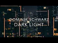 Dominik Schwarz - Dark Light