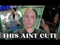 Entitled Influencers NYC influencer has her DAD HARASS MEDICAL STAFF Natalia Cestti