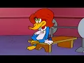 Download Lagu Woody In Disguise! | Woody Woodpecker