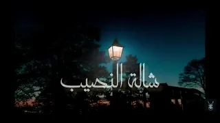اغنية اويلي ويلي قلبي نا غويه 