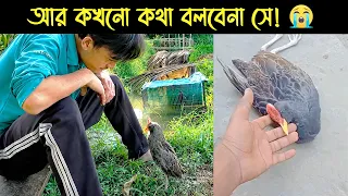 রিয়ানের পোষা কোড়া পাখির জীবন কাহিনী | Bird Story-247 | The life story of a Watercock Bird | E02