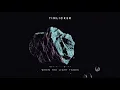 Tinlicker - When The Light Fades