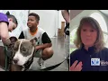 New free database helping reunite lost pets with their owners