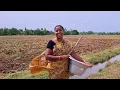 Download Lagu நம்ம வீட்டு வாய்க்காலில் தண்ணீர் வந்துட்டு🫡