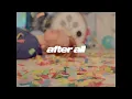 Dear Boy - After All