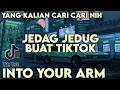 Download Lagu Dj Into Your Arm Viral Di Tiktok Terbaru 2021 Slow Beat Dj Komang Rimex | Dj Into Your Arm Slow Beat