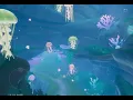 The jellyfish cave is absolutely stunning