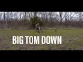 Iowa Turkey Hunting 2019 - 30 Minute Tag Out