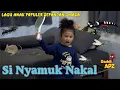 Download Lagu Si Nyamuk Nakal | Lagu Anak Populer Sepanjang Masa | Lagu Anak Indonesia Daddi APZ