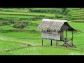 Download Lagu kebogiro - Instrumen asik buat nyantai