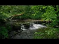 Download Lagu Música calma para relaxar e meditar | Imagens lindas que acalma a alma e relaxa a mente