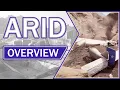 Arid Overview Gameplay Impressions 2021