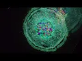 Max Cooper - Spectrum