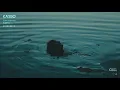 Kasbo - Cry / Dance Radio (Episode 2)