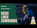 System Information Basic Linux Commands for Beginners